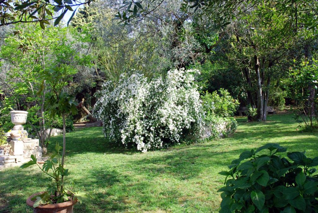 Country Hotel Le Rocce Magione Exterior photo