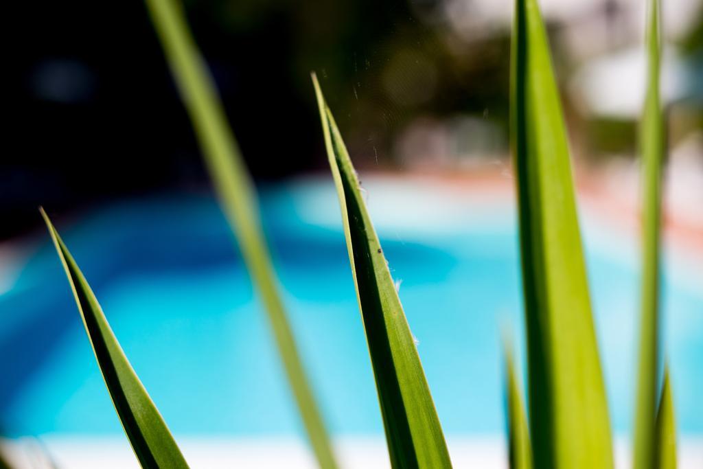 Country Hotel Le Rocce Magione Exterior photo